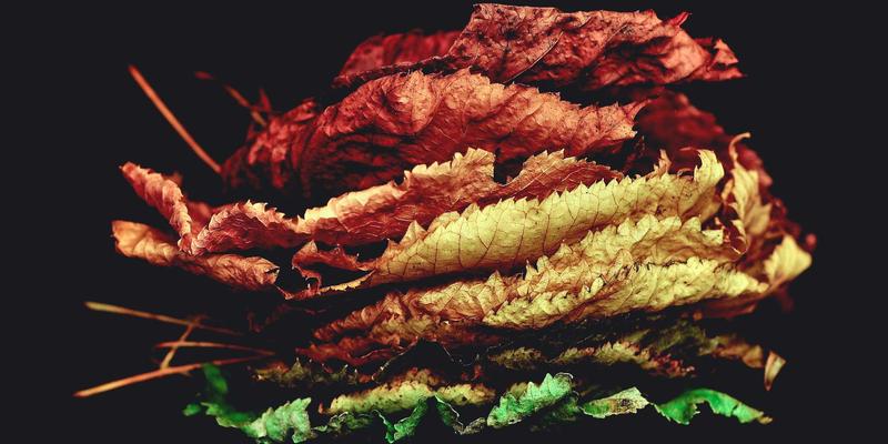 从传统制造到智能转型：江苏奥汉公司机械制造与自动化设备发展之路