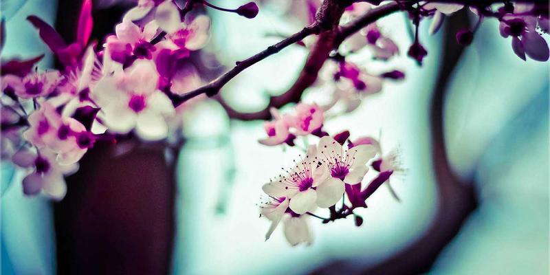 江苏奥汉30年深耕：以精密加工技术驱动中国工业设备高质量发展