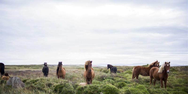 江苏奥汉39:深耕工业设备与解决方案,驱动中国机械制造新未来