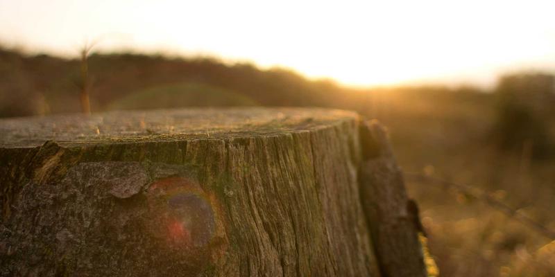 江苏奥汉58:以精密自动化设备驱动中国智造新未来