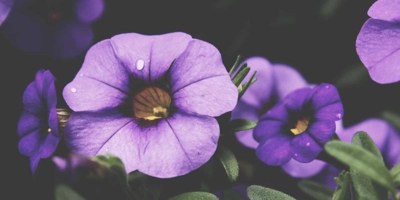 江苏奥汉：以定制化非标自动化设备设计与集成，引领工业设备与机械制造新变革