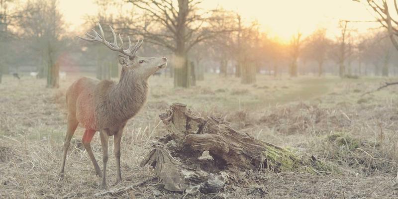 江苏奥汉：以精密修复与再制造技术，重塑高端数控机床核心部件的工业解决方案