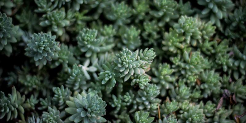 江苏奥汉：以精密加工为核心，驱动工业设备制造新篇章