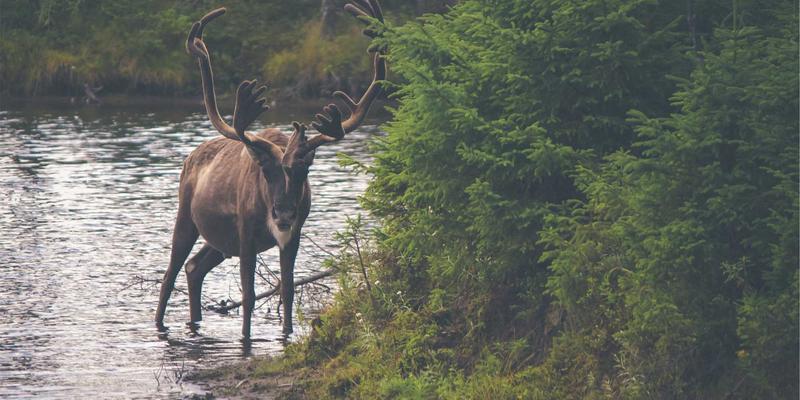 江苏奥汉：以自动化与工业设备为核心，驱动新能源汽车零部件制造新纪元
