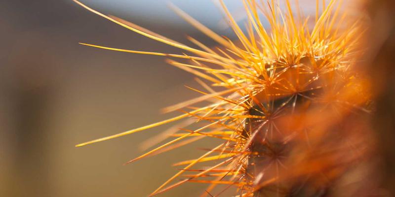 精密加工赋能新能源未来：江苏奥汉在电池制造装备中的核心角色