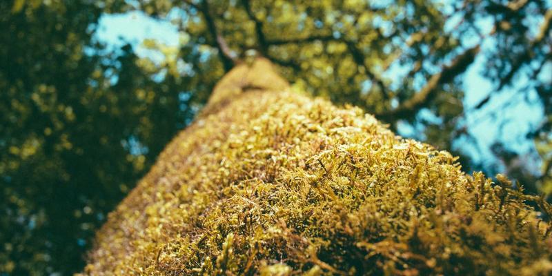 精度制胜苍穹：江苏奥汉五轴联动加工中心如何重塑航空航天复杂结构件制造