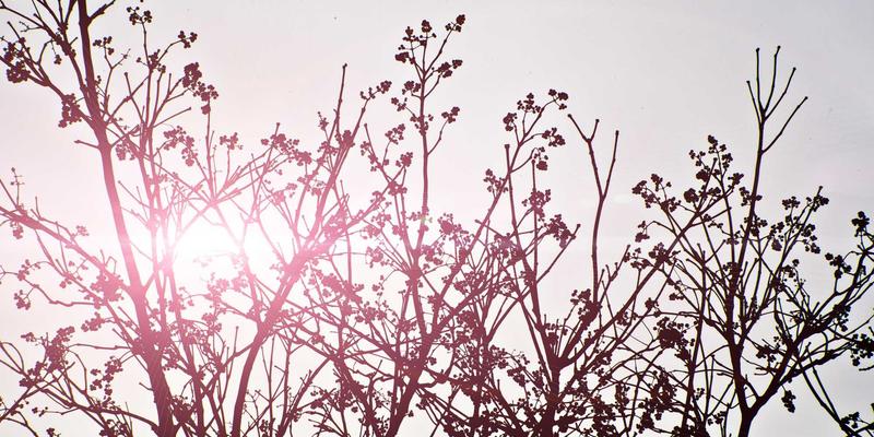 解锁智能制造新动能：江苏奥汉AGV/RGV系统如何重塑车间物料无人化配送